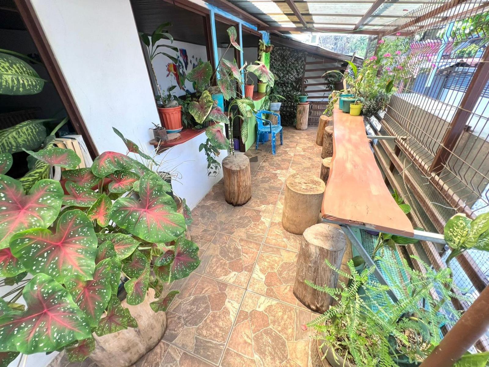 Cheap Hostel Quepos Extérieur photo